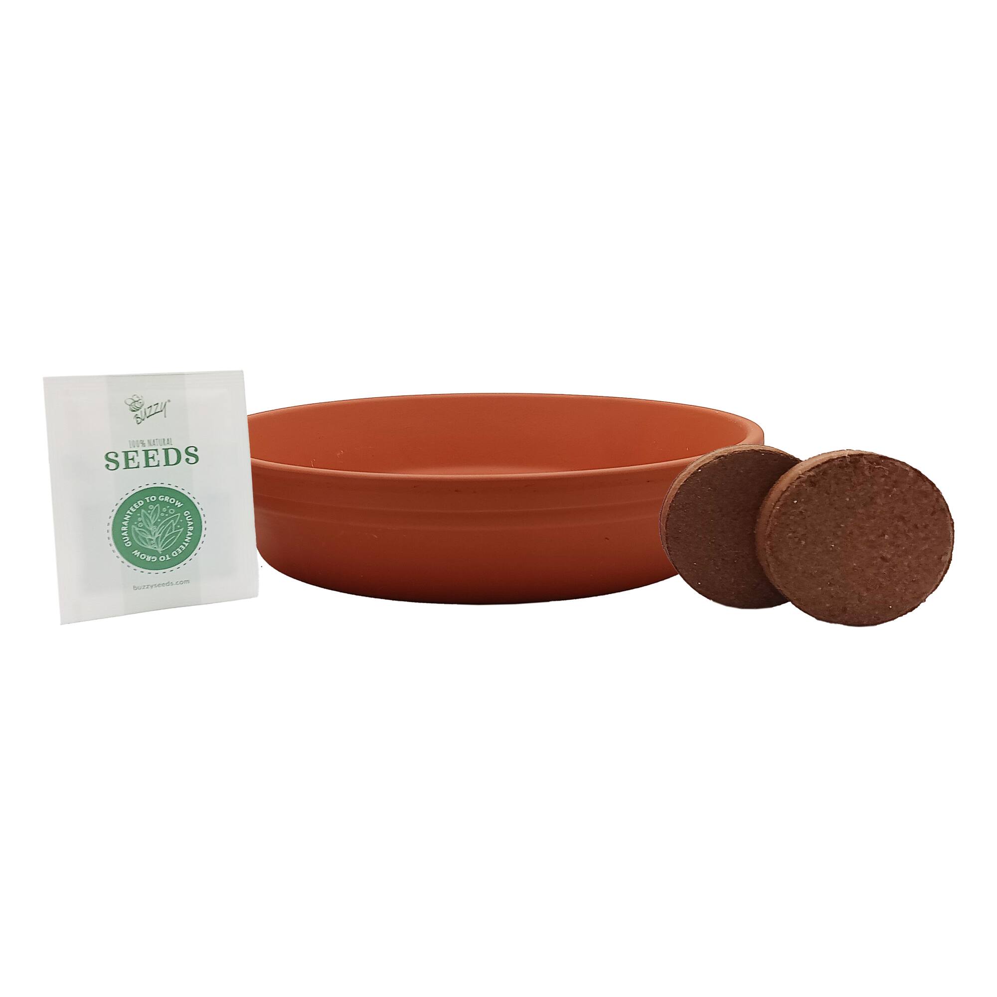 Buzzy® Chia Fairy Garden Complete Grow Kit